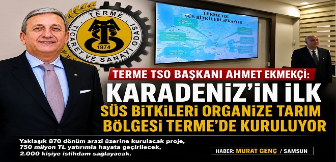 Terme TSO Başkanı Ahmet Ekmekçi: 