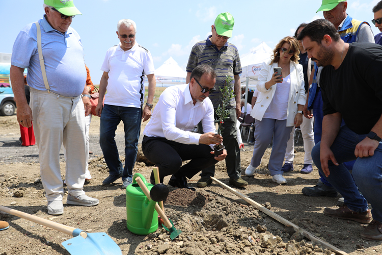 SİLİVRİ’DE 5.100 ADET YAĞLIK ZEYTİN FİDANI TOPRAKLA BULUŞTU