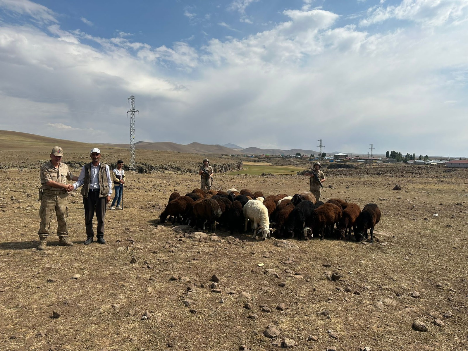 Çalınan Küçükbaş Hayvanlar Bulundu.