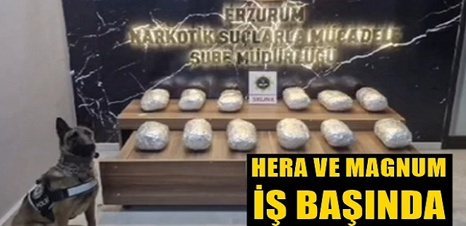 Erzurum Emniyetinden Uyuşturucu Operasyonları
