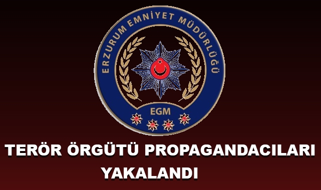 Terör Örgütü Propagandacıları Yakalandı